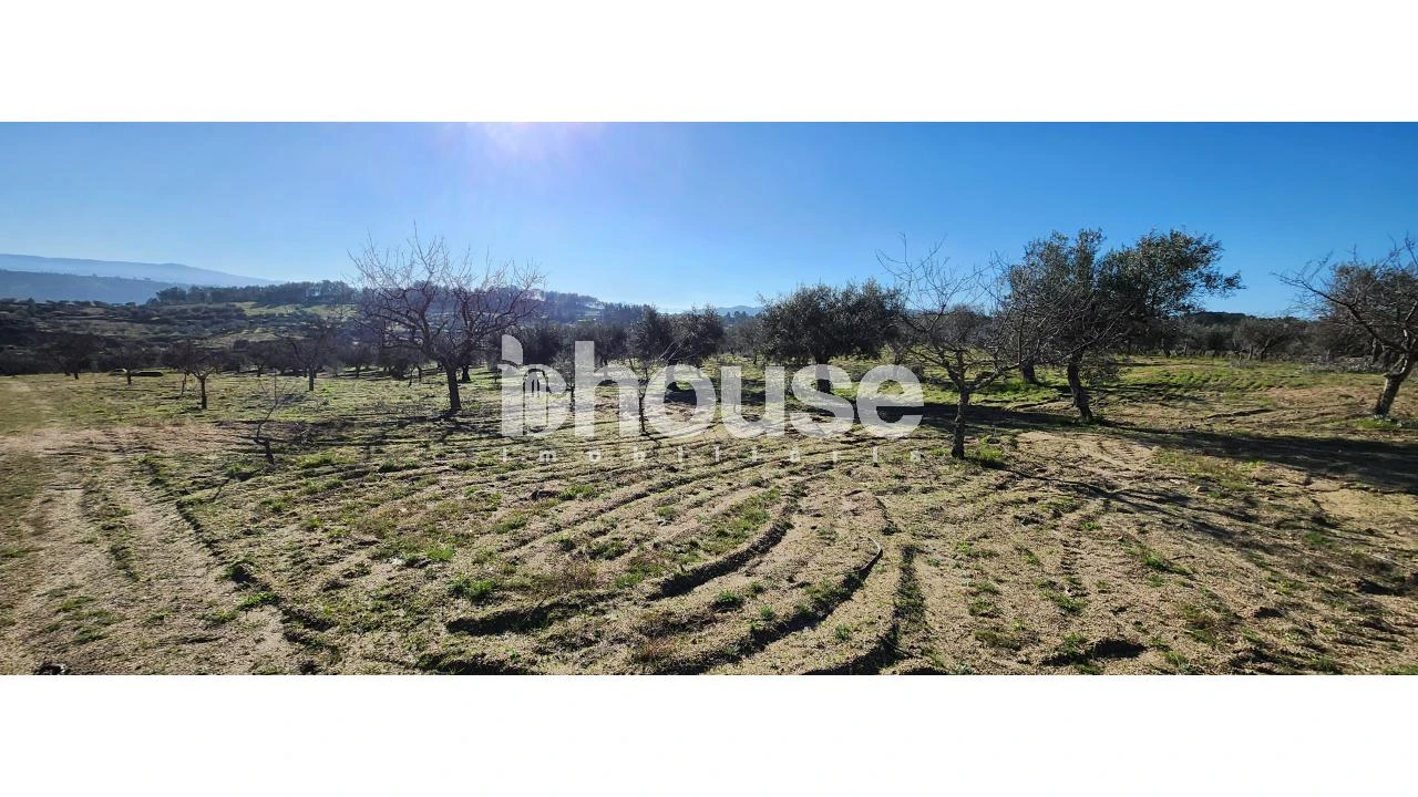 Terreno para Venda em Possacos Foto 4