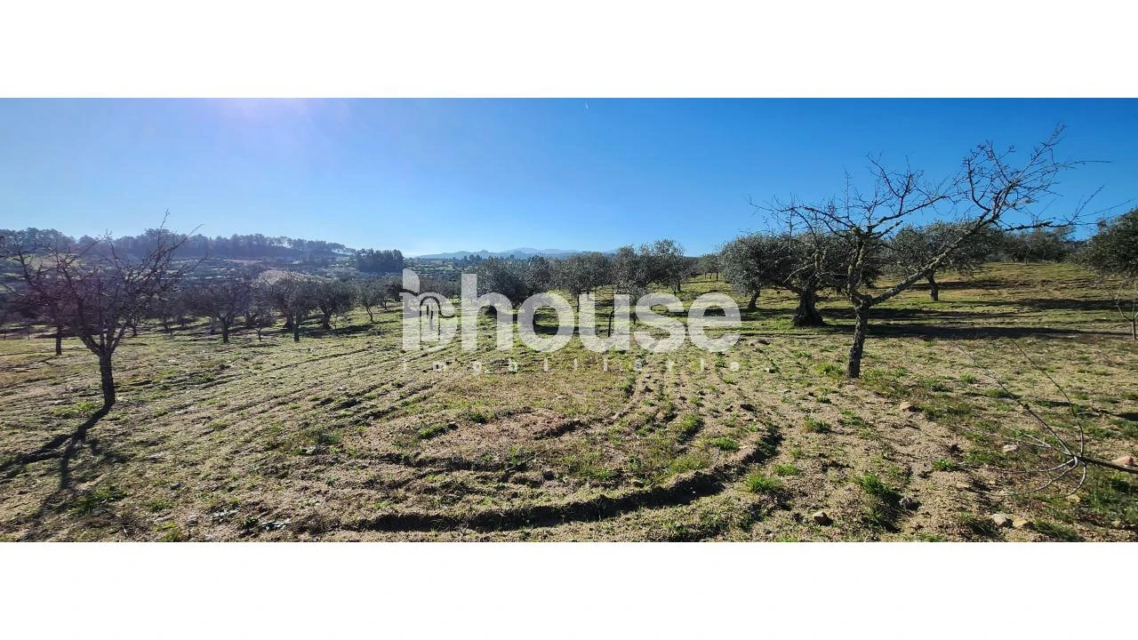 Terreno para Venda em Possacos Foto 5