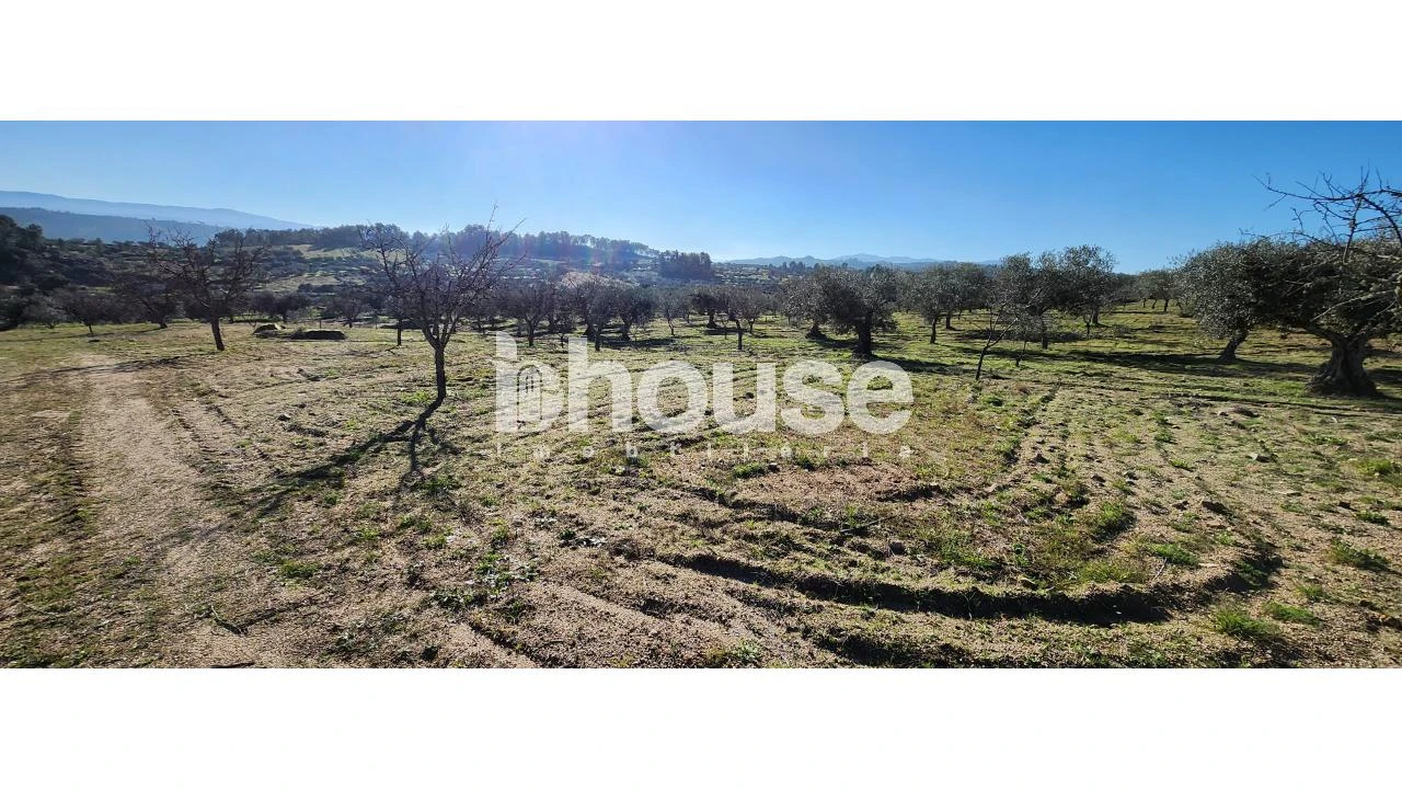 Terreno para Venda em Possacos Foto 6