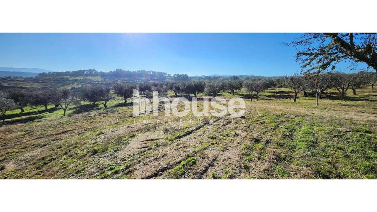 Terreno para Venda em Possacos Foto 10