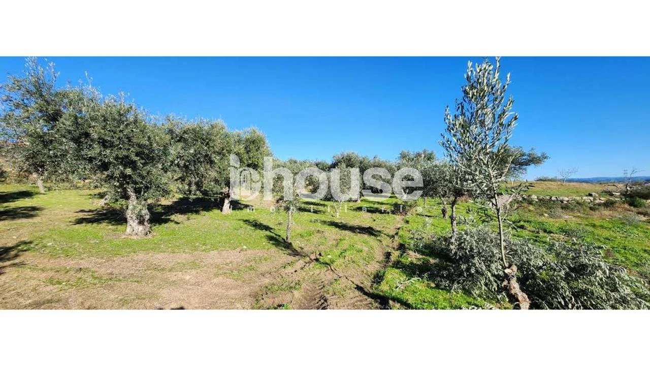 Terreno para Venda em Possacos Foto 14