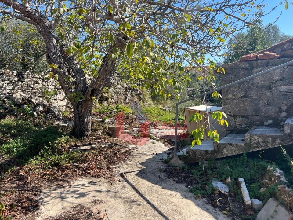 Moradia T3 para Venda em Alvados e Alcaria Foto 10