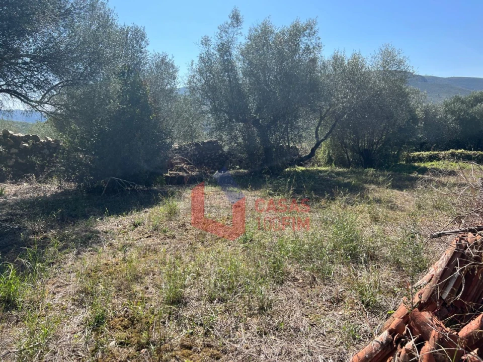 Moradia T3 para Venda em Alvados e Alcaria Foto 13