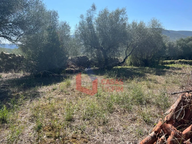 Moradia T3 para Venda em Alvados e Alcaria Foto 13