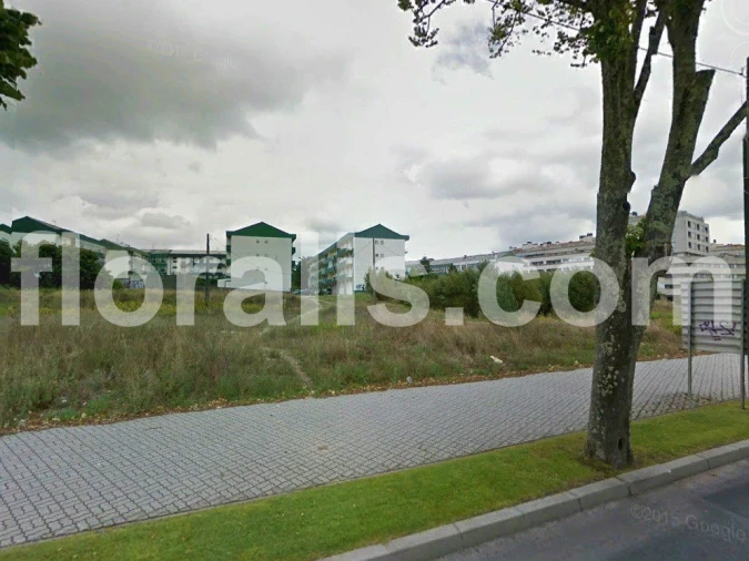 Terreno para Venda em Viseu Foto 1