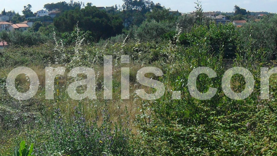 Terreno para Venda em Faíl e Vila Chã de Sá
