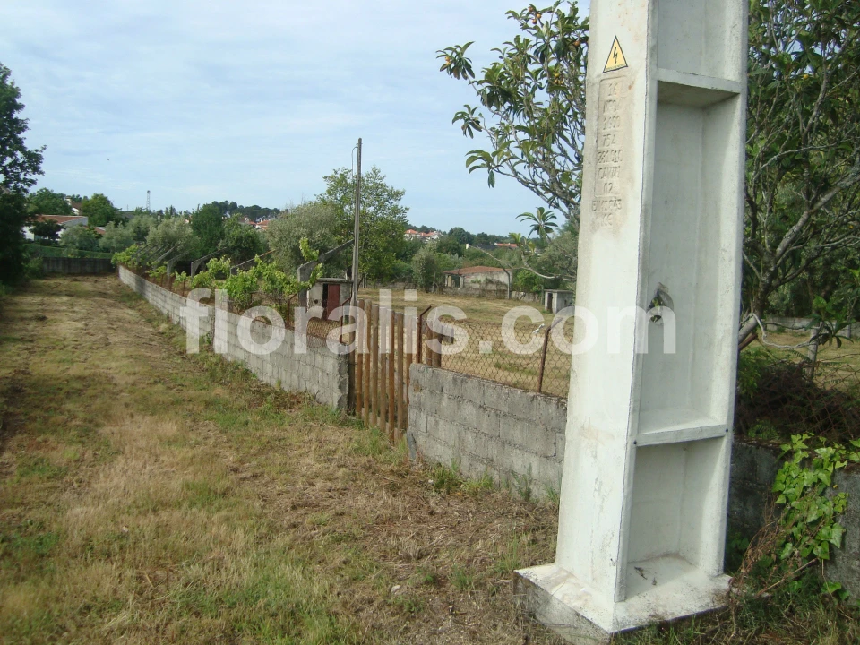 Terreno para Venda em Repeses e São Salvador Foto 6