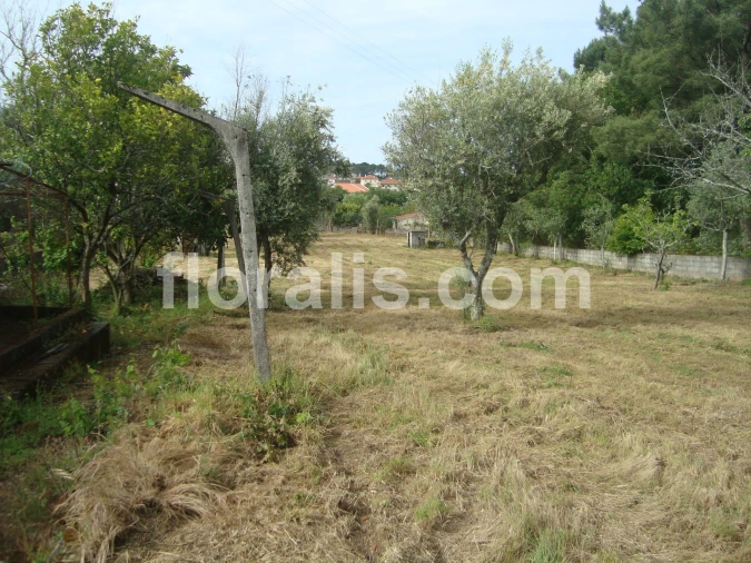 Terreno para Venda em Repeses e São Salvador Foto 2