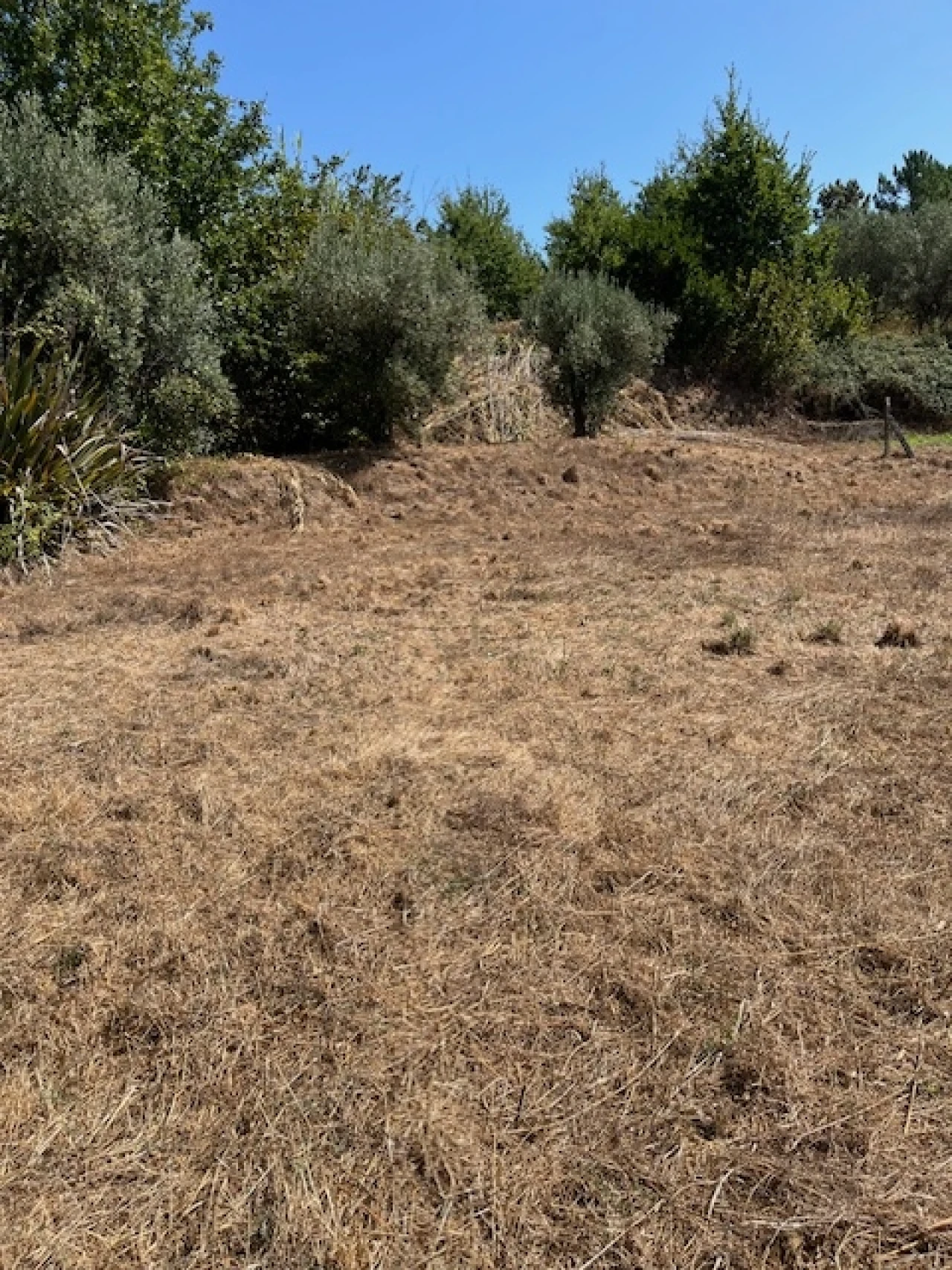 Terreno para Venda em Fragosela Foto 2