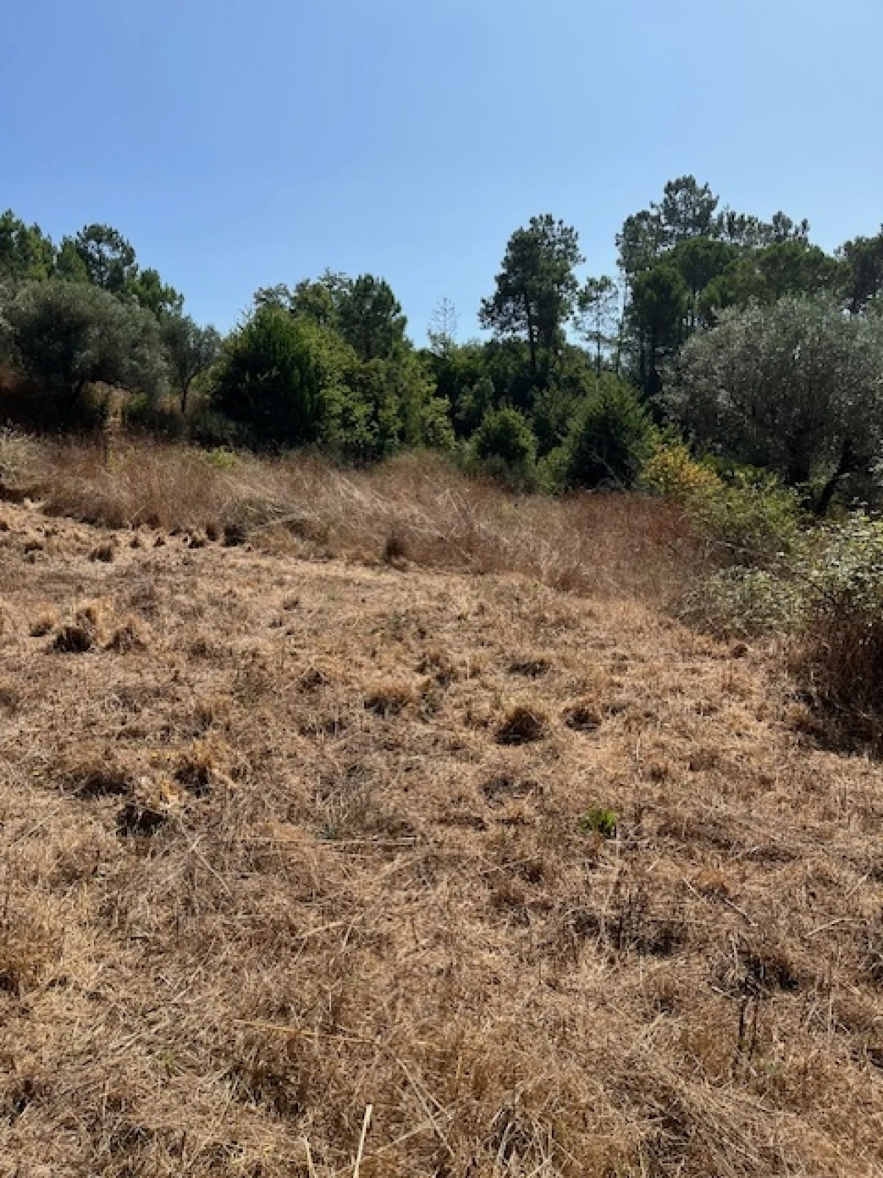 Terreno para Venda em Fragosela Foto 4