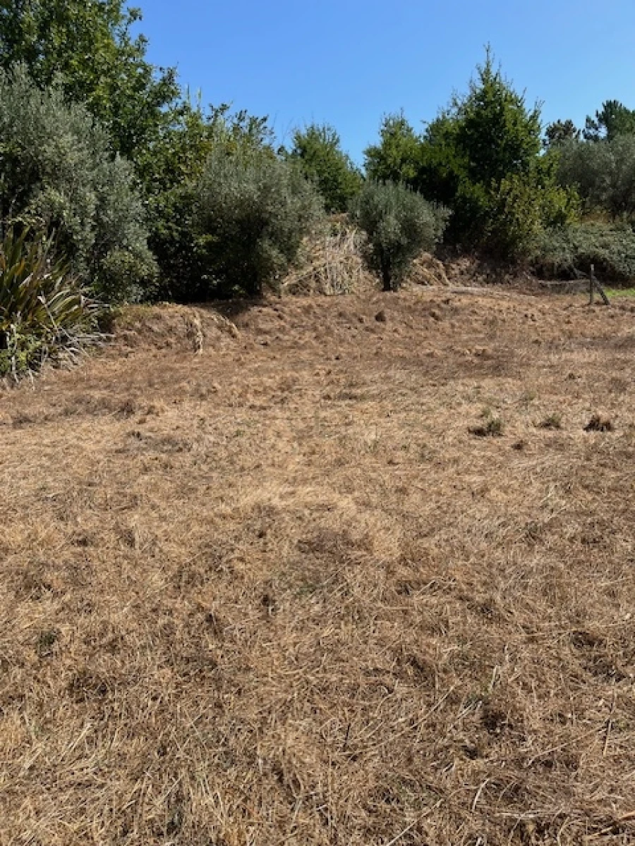 Terreno para Venda em Fragosela Foto 2