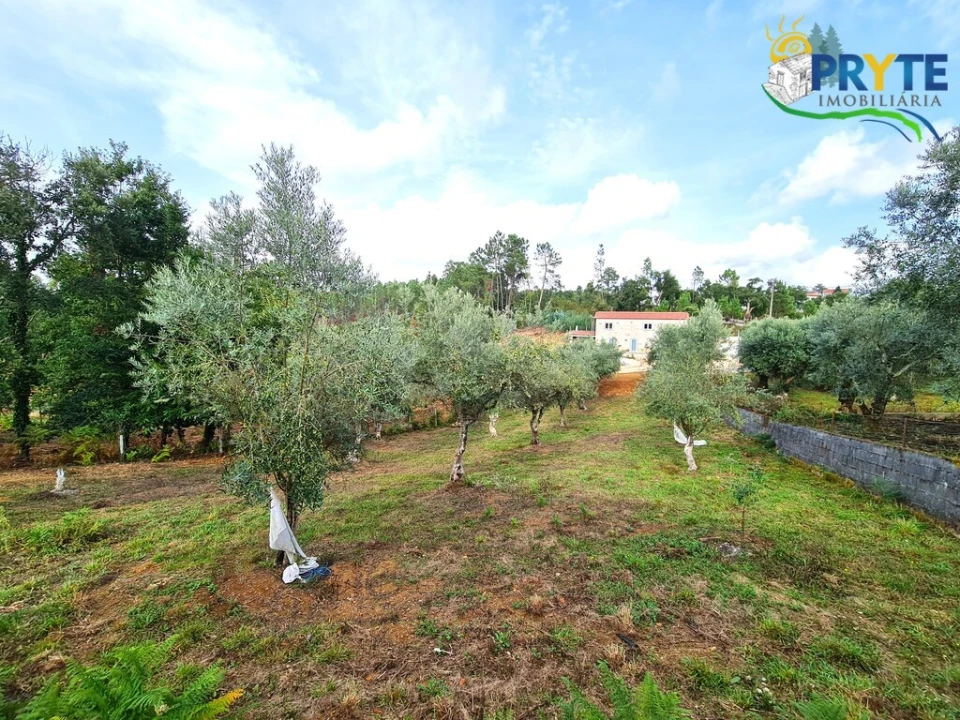 Quinta T4 para Venda em Castelo Foto 43