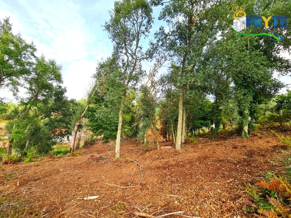 Quinta T4 para Venda em Castelo Foto 46