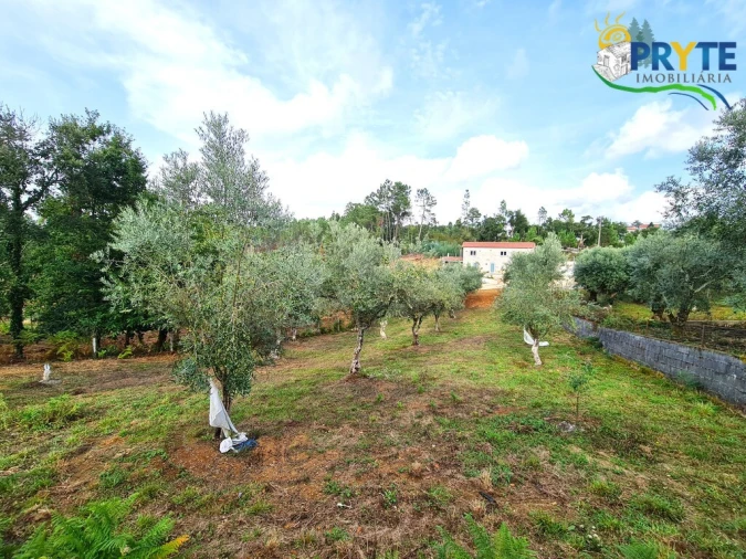 Quinta T4 para Venda em Castelo Foto 43