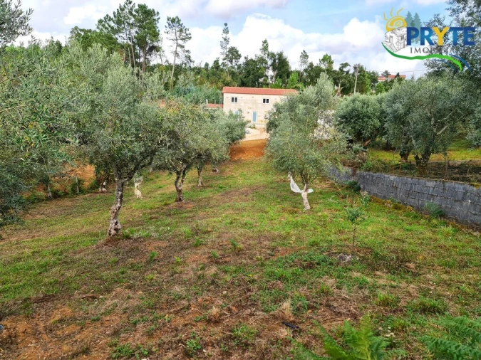 Quinta T4 para Venda em Castelo Foto 44