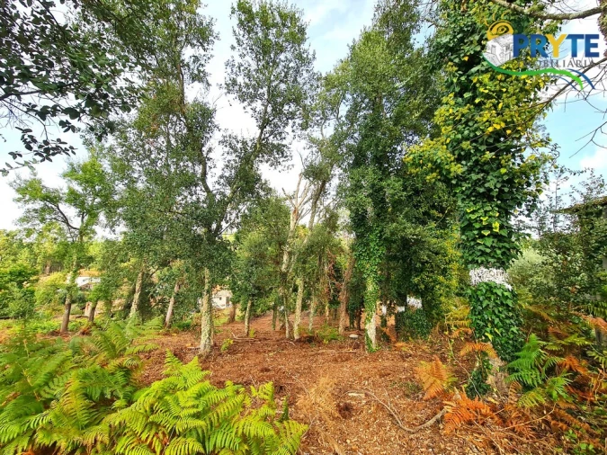 Quinta T4 para Venda em Castelo Foto 45