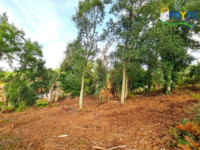 Quinta T4 para Venda em Castelo Foto 46