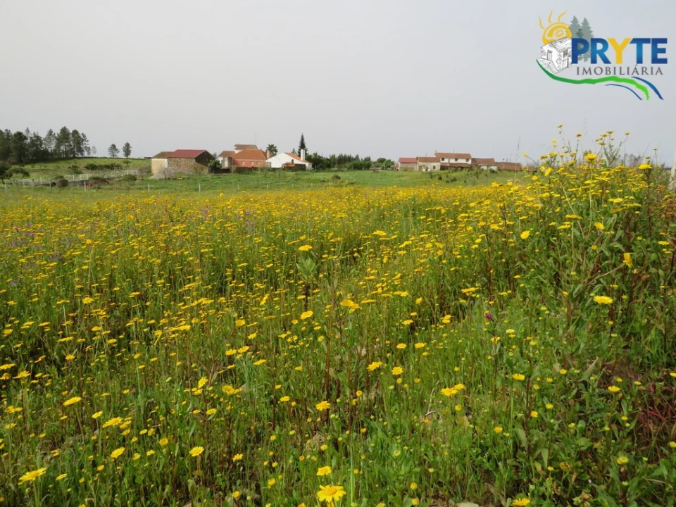 Terreno para Venda em Proença-A-Nova e Peral Foto 1