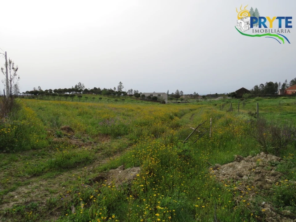 Terreno para Venda em Proença-A-Nova e Peral Foto 4