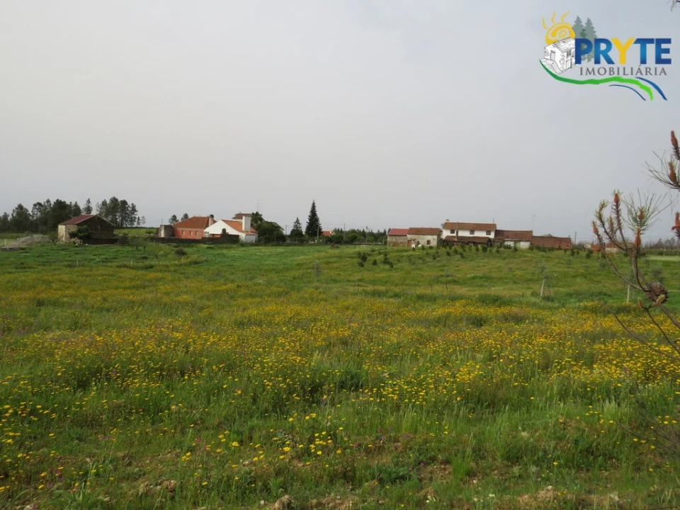 Terreno para Venda em Proença-A-Nova e Peral Foto 5