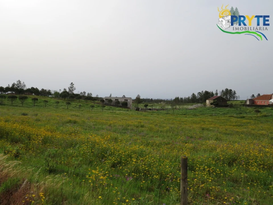 Terreno para Venda em Proença-A-Nova e Peral Foto 6