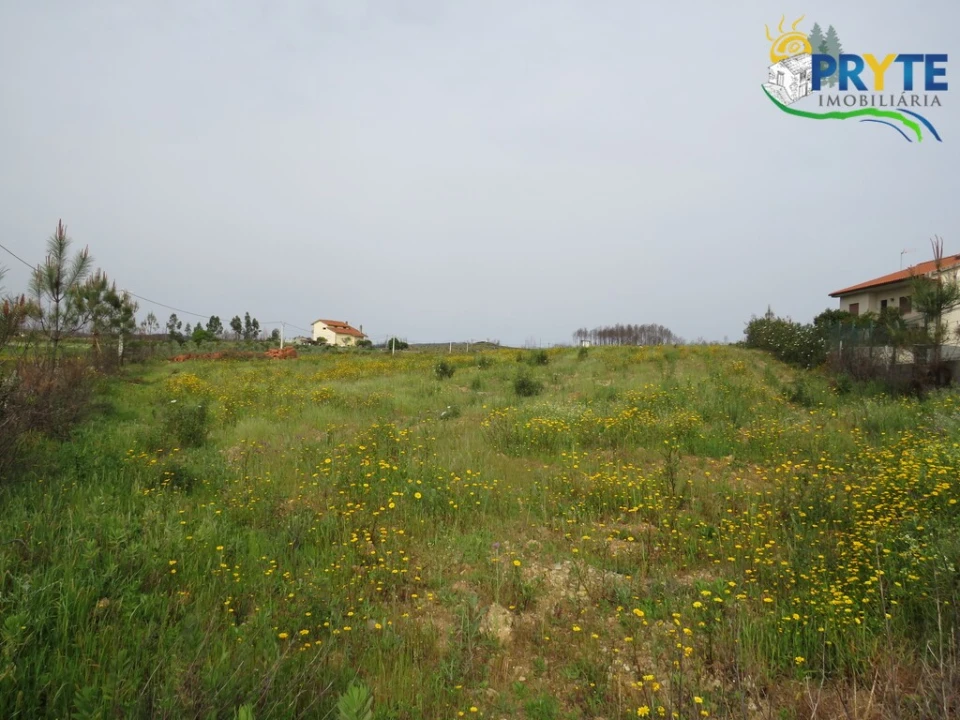 Terreno para Venda em Proença-A-Nova e Peral Foto 7
