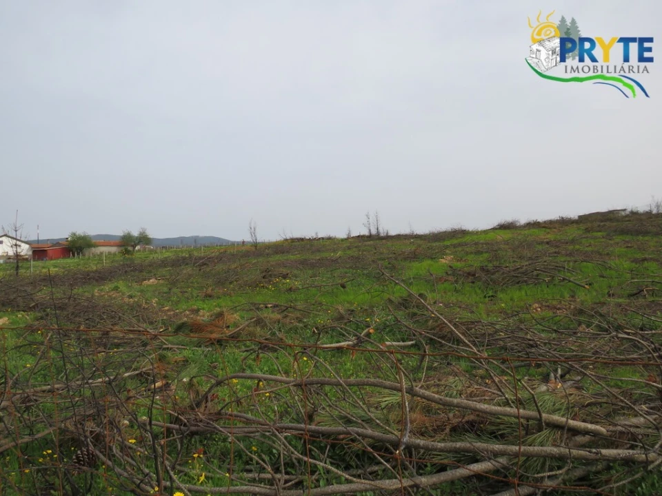 Terreno para Venda em Proença-A-Nova e Peral Foto 8