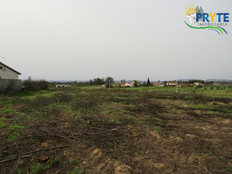 Terreno para Venda em Proença-A-Nova e Peral Foto 9