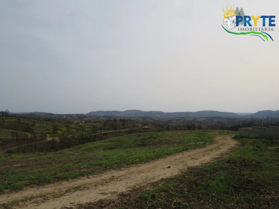 Terreno para Venda em Proença-A-Nova e Peral Foto 10