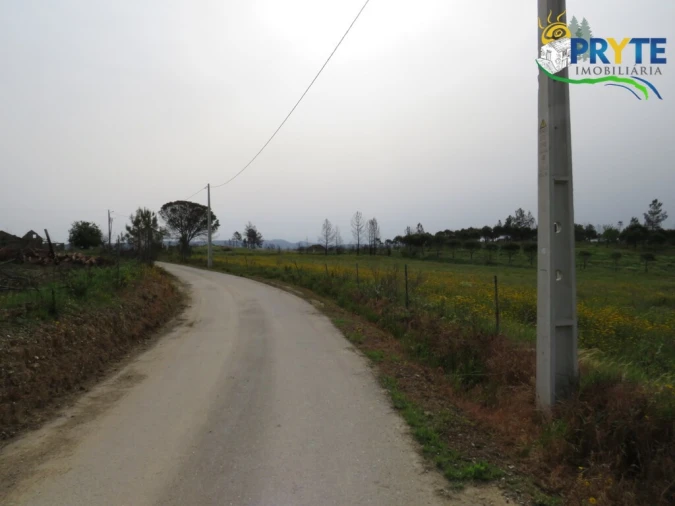 Terreno para Venda em Proença-A-Nova e Peral Foto 2