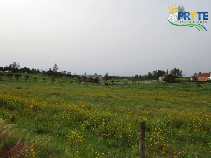 Terreno para Venda em Proença-A-Nova e Peral Foto 6