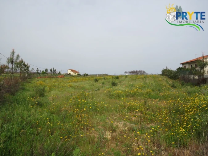 Terreno para Venda em Proença-A-Nova e Peral Foto 7