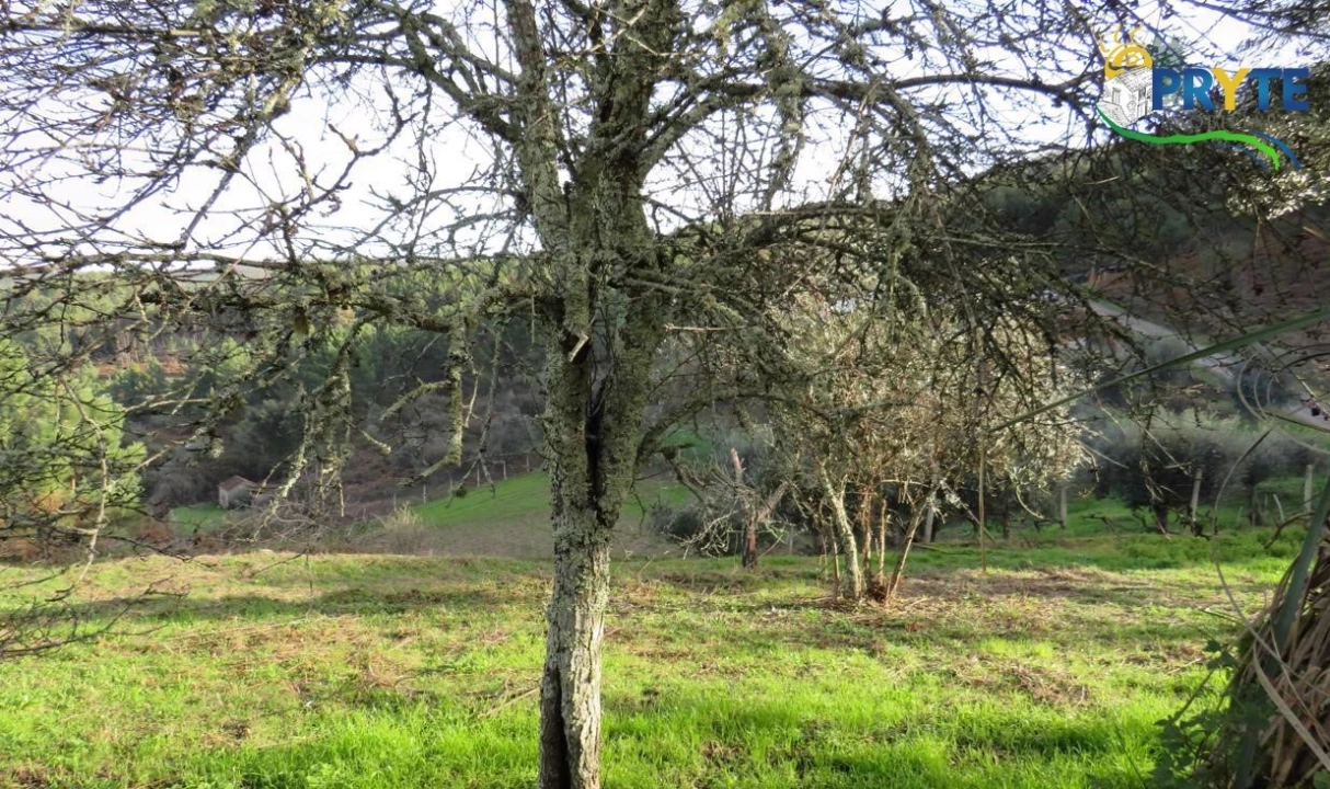 Terreno para Venda em Carvalhal Foto 2