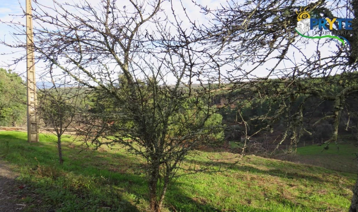 Terreno para Venda em Carvalhal Foto 3
