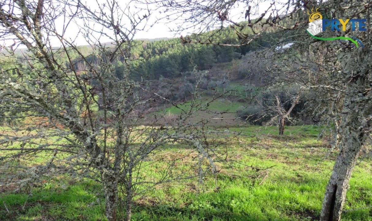 Terreno para Venda em Carvalhal Foto 4