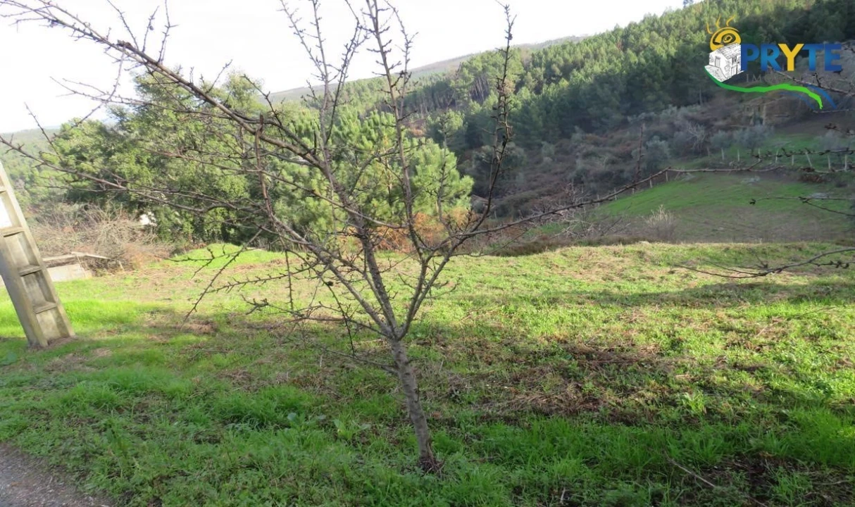 Terreno para Venda em Carvalhal Foto 5