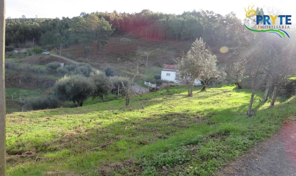 Terreno para Venda em Carvalhal Foto 6