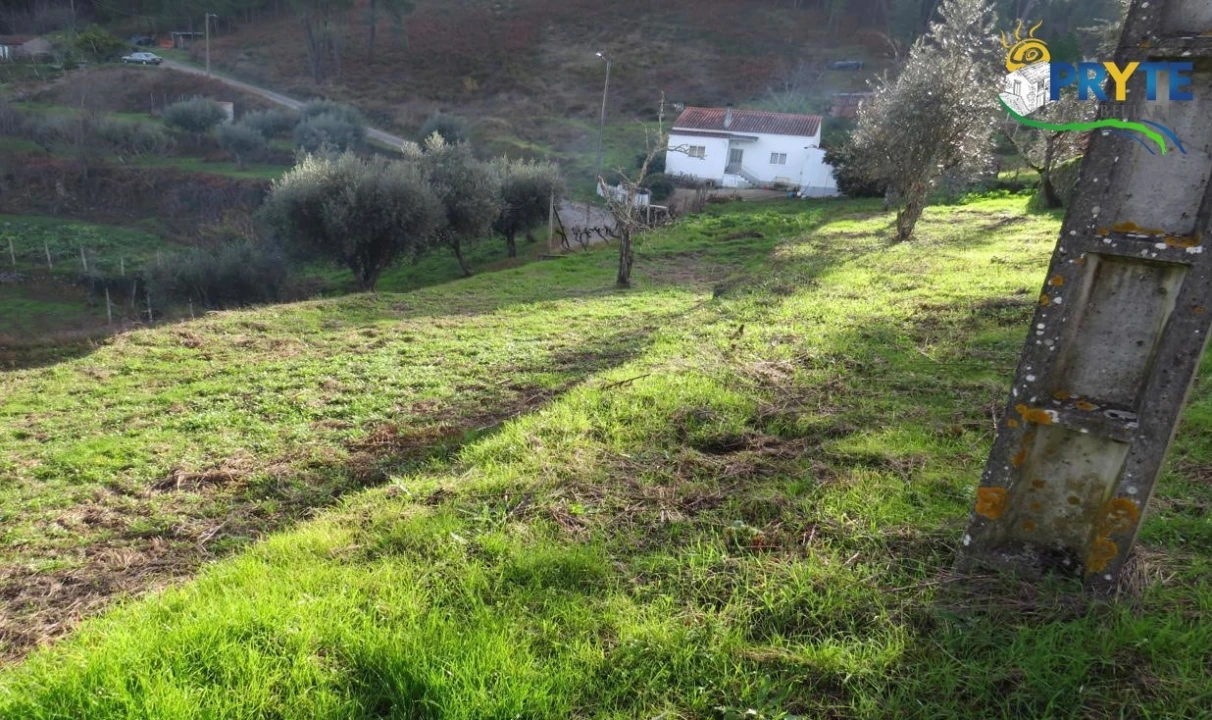 Terreno para Venda em Carvalhal Foto 8