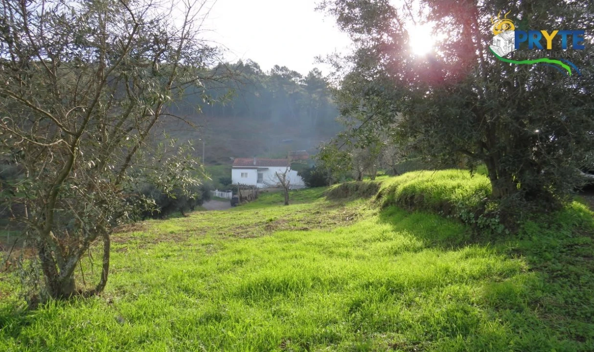 Terreno para Venda em Carvalhal Foto 23