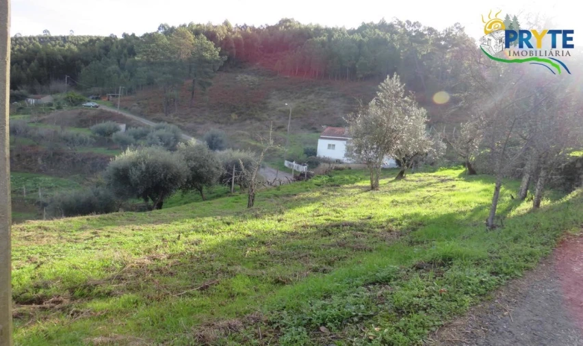 Terreno para Venda em Carvalhal Foto 6