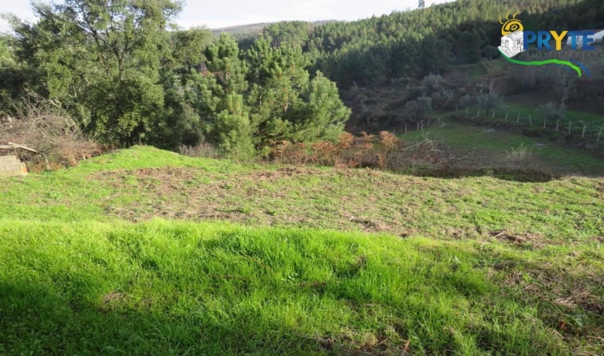 Terreno para Venda em Carvalhal Foto 7