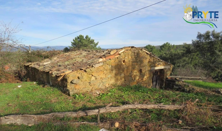 Terreno para Venda em Carvalhal Foto 15