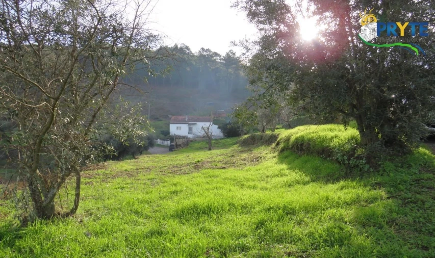 Terreno para Venda em Carvalhal Foto 23
