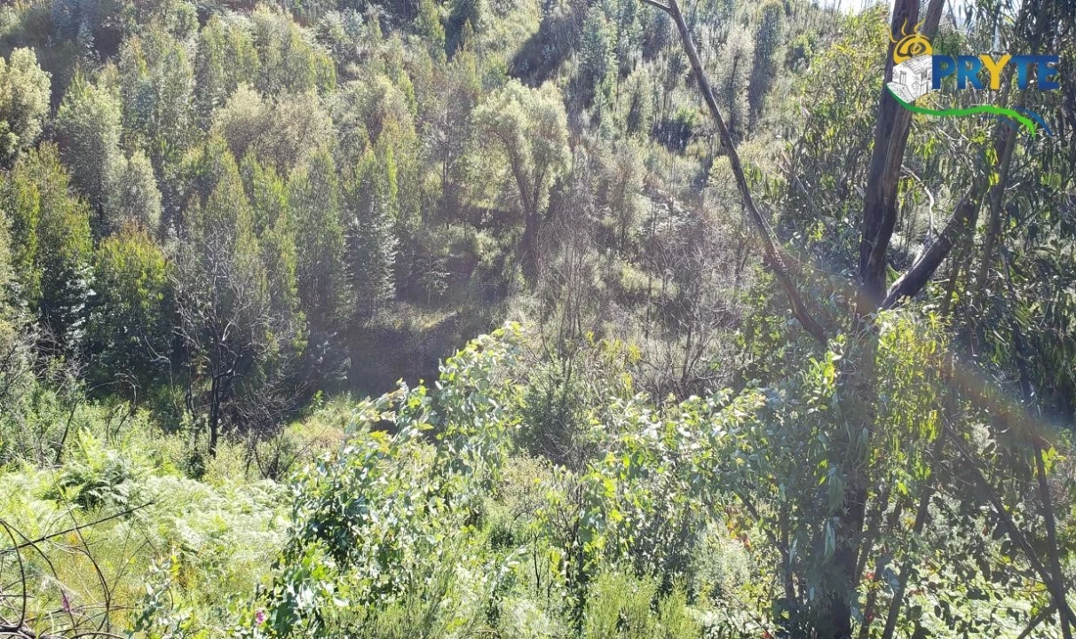 Terreno para Venda em Troviscal Foto 8