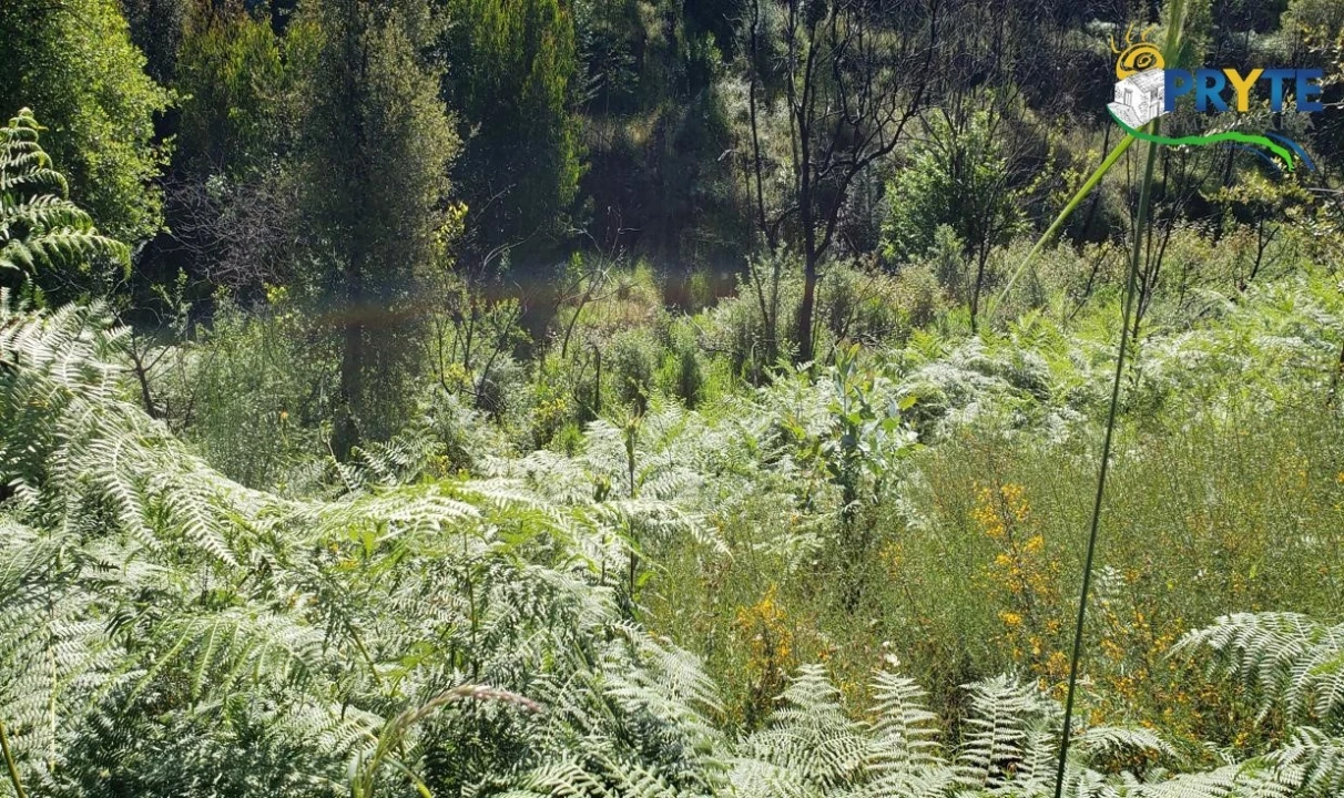 Terreno para Venda em Troviscal Foto 10