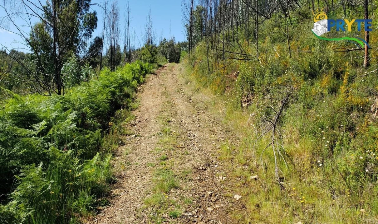 Terreno para Venda em Troviscal Foto 11