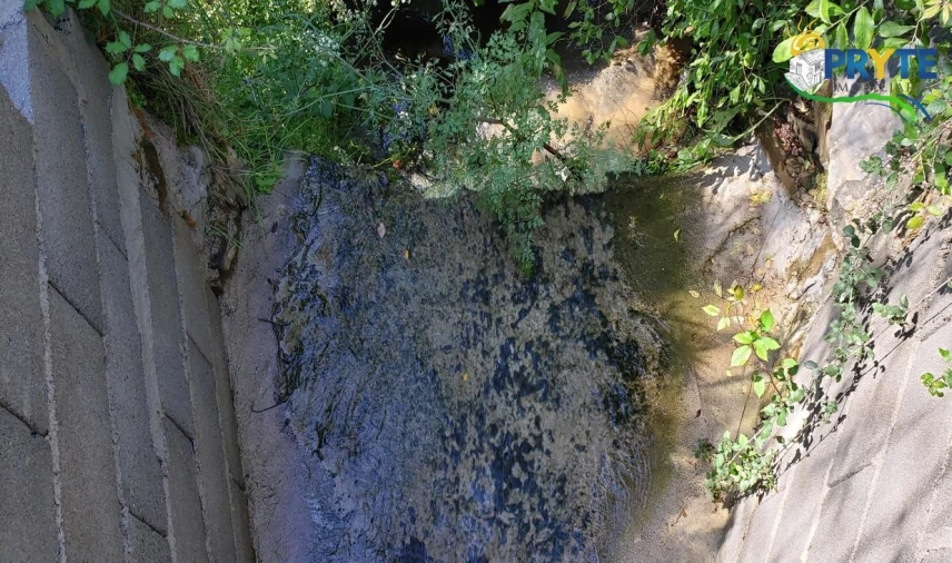 Terreno para Venda em Troviscal Foto 13