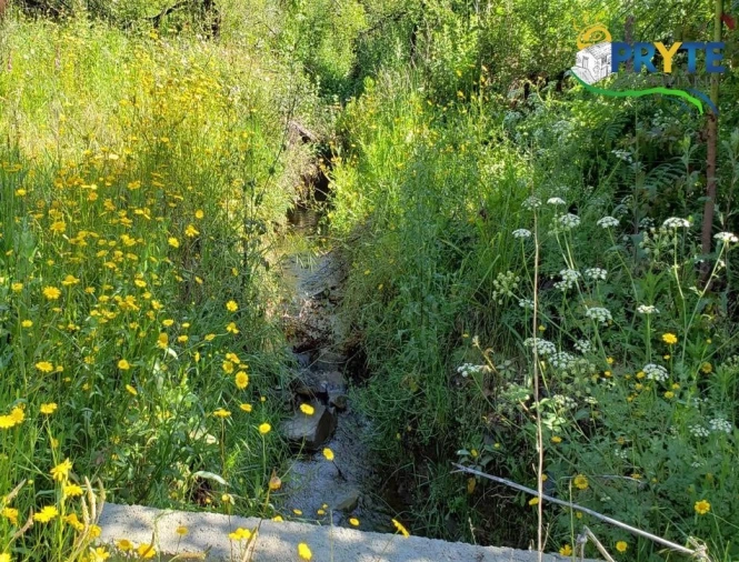 Terreno para Venda em Troviscal Foto 15