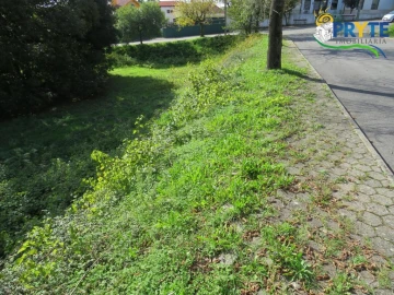Terreno para Venda em Cernache do Bonjardim, Nesperal e Palhais
