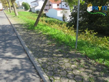 Terreno para Venda em Cernache do Bonjardim, Nesperal e Palhais